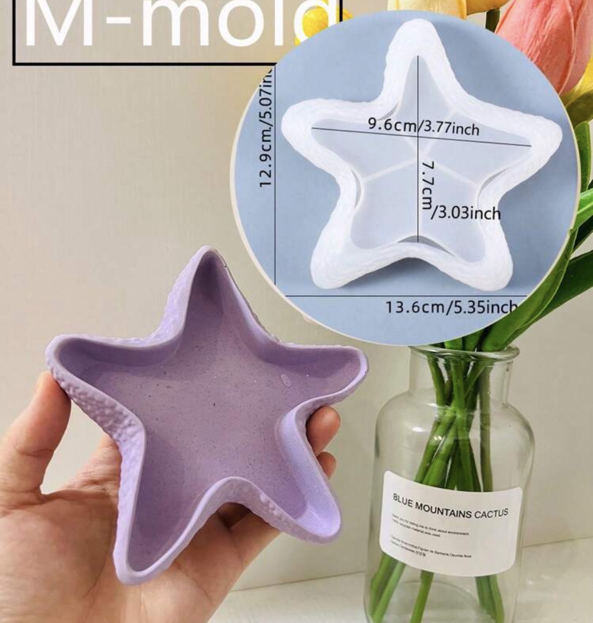 Molde Estrella De Mar Bandeja 