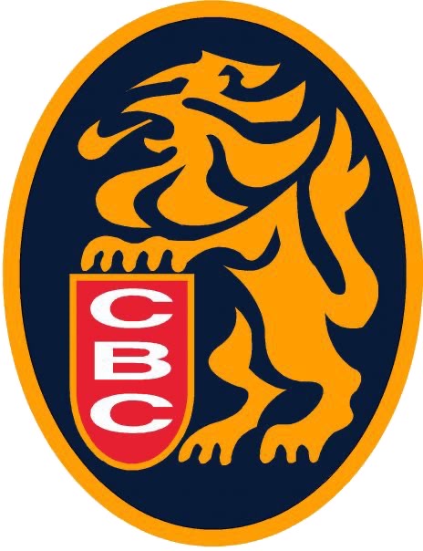 Uvdtf Llavero Beisbol, Magallanes, Leones Del Caracas, Etc